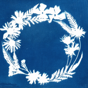 Taller familiar: Postals de Nadal amb Cianotípia